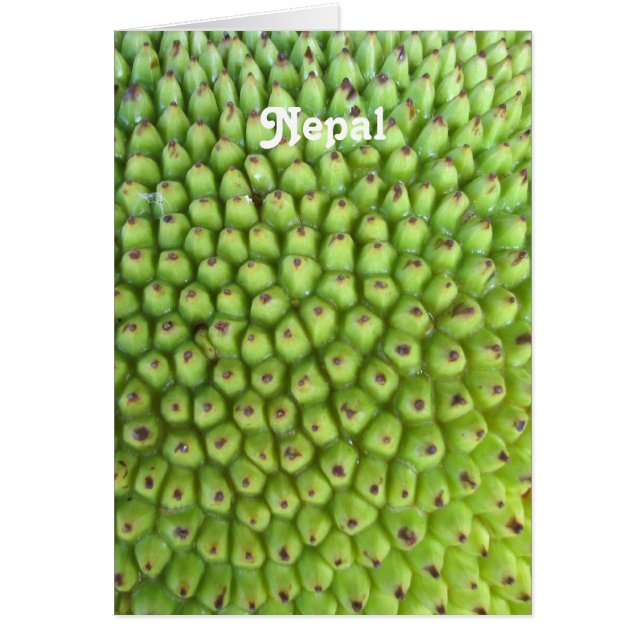 Jackfruit nepalés (Frente)