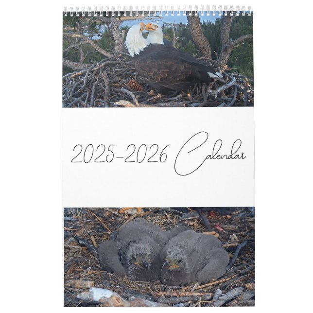 Jackie & Shadow 2025 - Calendario de Águilas de Os (Tapa)