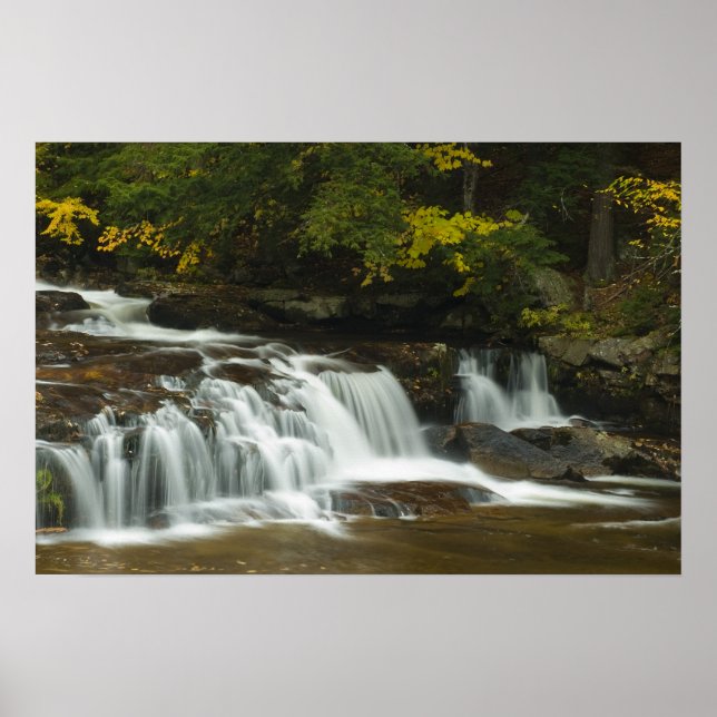 Jackson Falls, impresión NH (Frente)