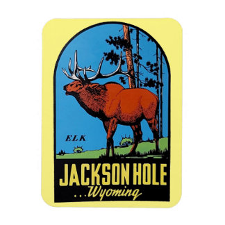 Jackson Hole, imán Wyoming