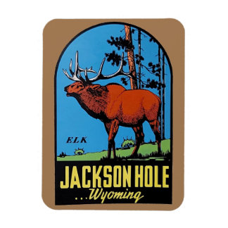 Jackson Hole, imán Wyoming
