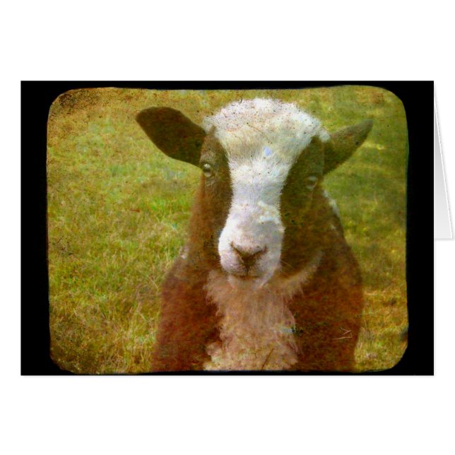 Jacob Lamb (Anverso (Horizontal))