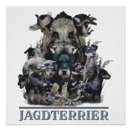 Jagdterrier, Poster alemán del Terrier Cazador