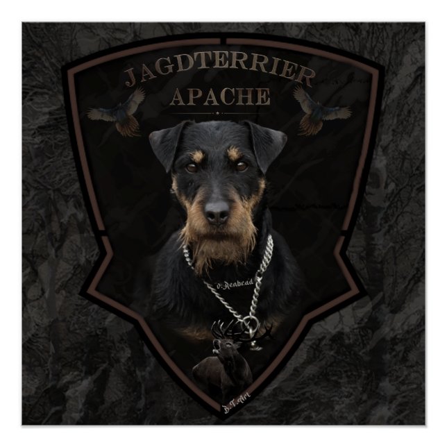 Jagdterrier, Poster alemán del Terrier Cazador (Anverso)