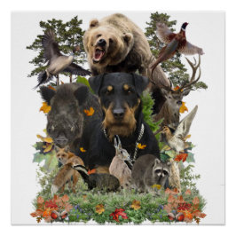 Jagdterrier, Poster alemán del Terrier Cazador