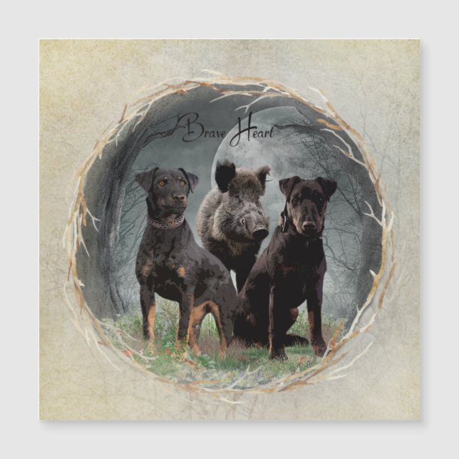 Jagdterrier, valiente poster de tapicería cardíaca (Anverso)