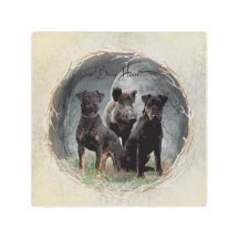 Jagdterrier, valiente poster de tapicería cardíaca