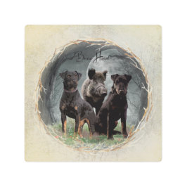 Jagdterrier, valiente poster de tapicería cardíaca