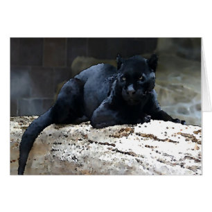 Jaguar negro