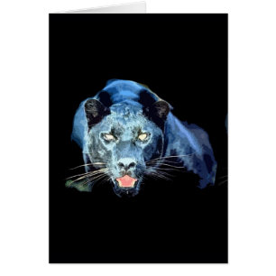 Jaguar - pantera negra