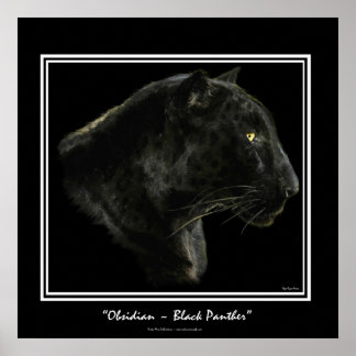 Jaguar, pantera negra, gran arte para gato