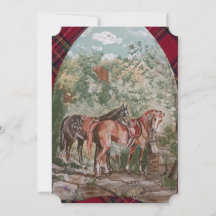 jamie & poppy tartan hunt