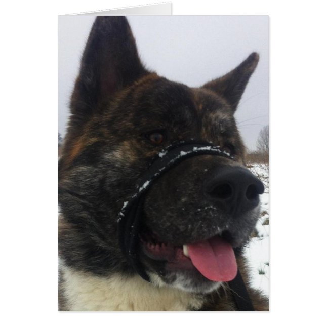 Japanesa akita (Frente)