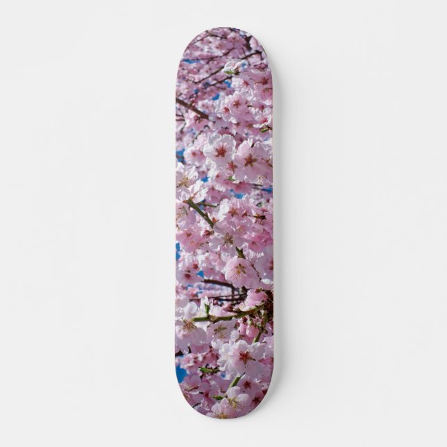 Japanese Cherry Blossom Skateboard (Anverso )