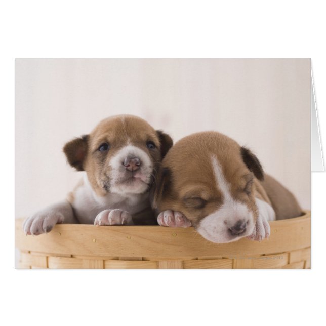 Japón (Anverso (Horizontal))