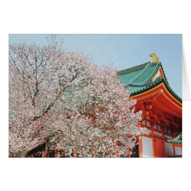 Japón, Kioto. Florencia de cerezos de Shinto (Anverso (Horizontal))