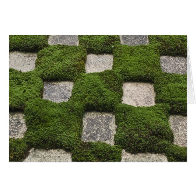 Japón, Kyoto, Templo Tofukuji, Jardín (Anverso (Horizontal))