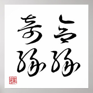 [ JAPÓN ] PÓSTER SUPER GENIAL de 4 caracteres KANJ