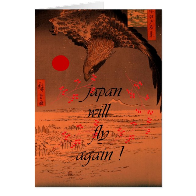 japón volverá a volar (Frente)