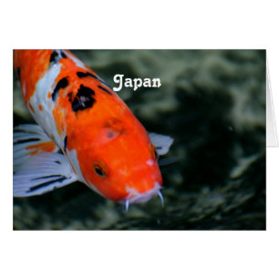 Japonés Koi