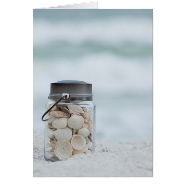 Jar De Las Agujas De La Playa | Florida (Frente)