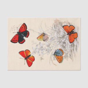 Jardín 10" de la mariposa X 15" papel seda