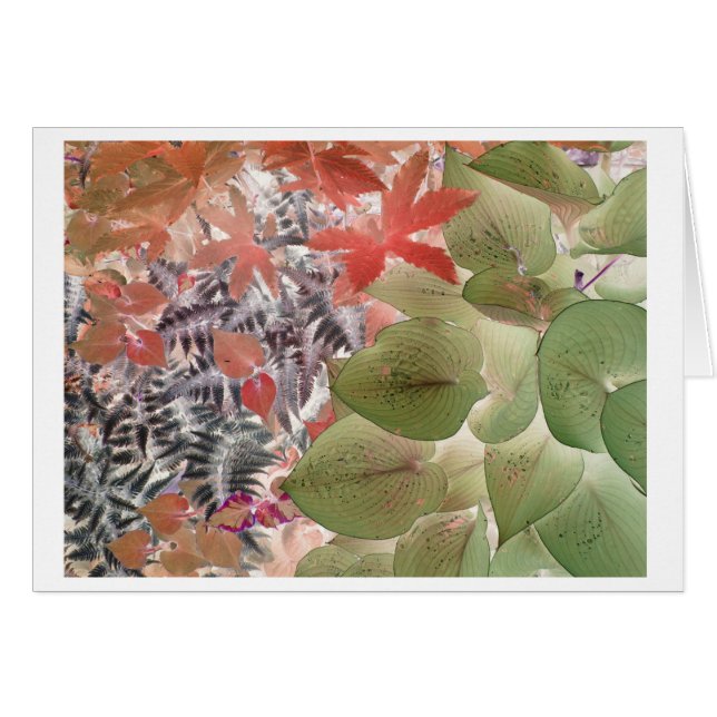 Jardín 9 (Anverso (Horizontal))