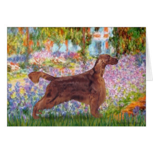 Jardín - Asiento irlandés 1