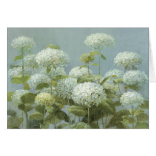 Jardín blanco del Hydrangea