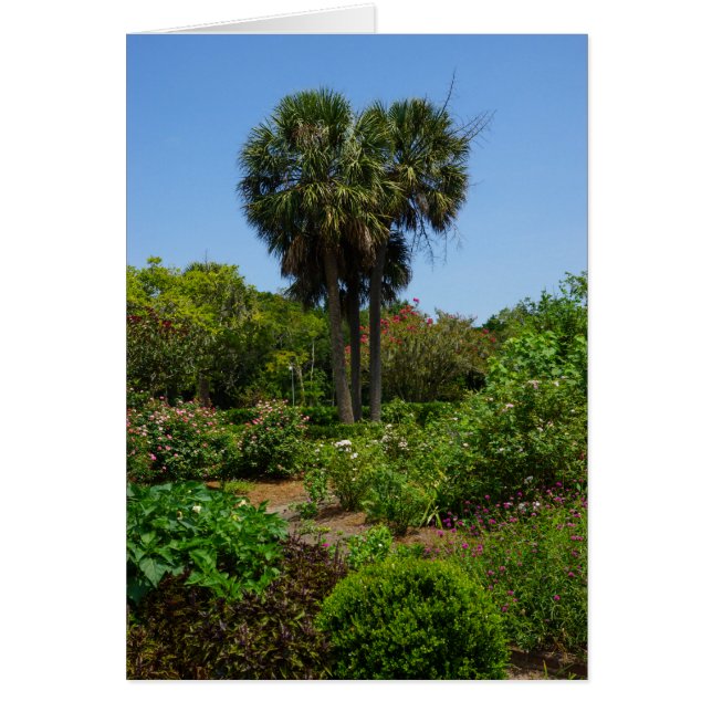Jardín Boone Hall (Frente)