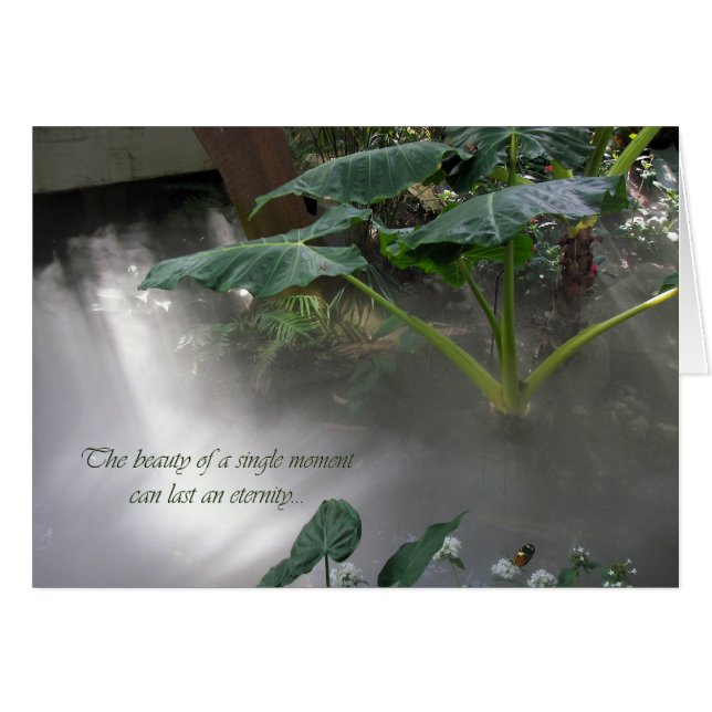 Jardín Botánico (Anverso (Horizontal))