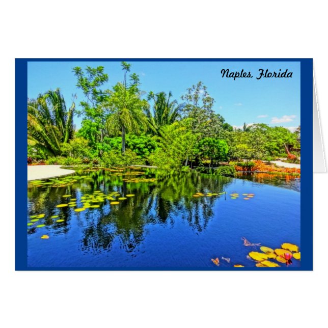 Jardín Botánico de Nápoles Florida - Piscina Infin (Anverso (Horizontal))