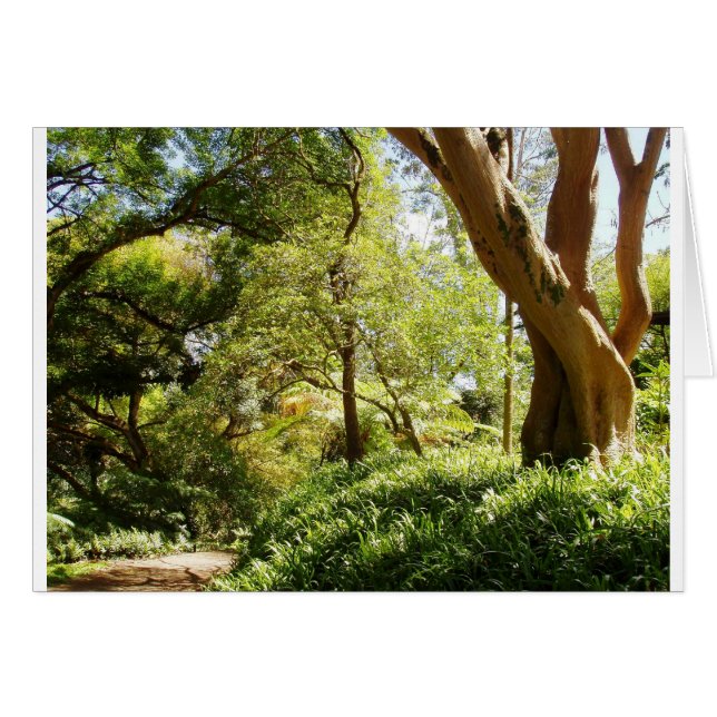 Jardín Botánico Wahiawa (Anverso (Horizontal))