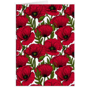 jardín de amapolas rojas 2