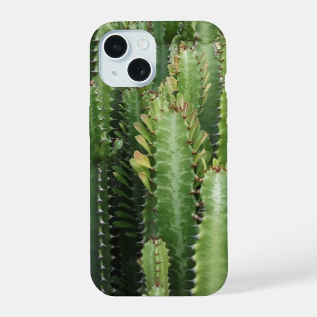 Jardín de Cactus (Reverso )
