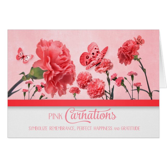 Jardín de Carnación rosa con mariposas en blanco (Anverso (Horizontal))