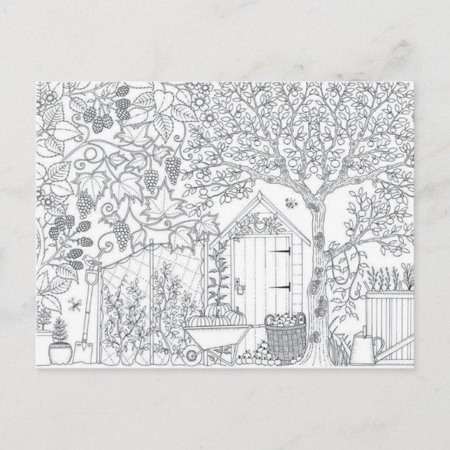 jardín de dos lados regalo de postal para adultos  (Anverso)