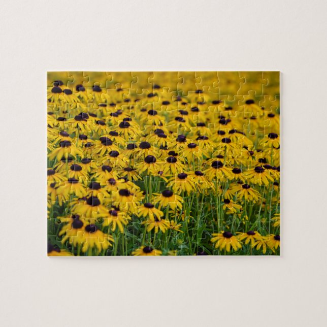 Jardín de flores - 8x10 - 110 pcs Rompecabezas (Horizontal)