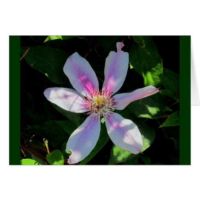 Jardín de flores de mamá (Anverso (Horizontal))