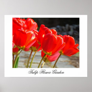 Jardín de flores de tulipanes impresiones artístic