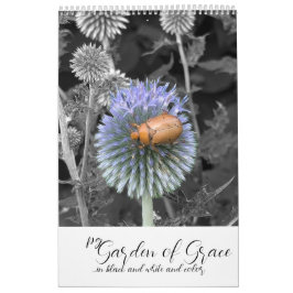 Jardín de Gracia: Calendario en Blanco & Negro & C