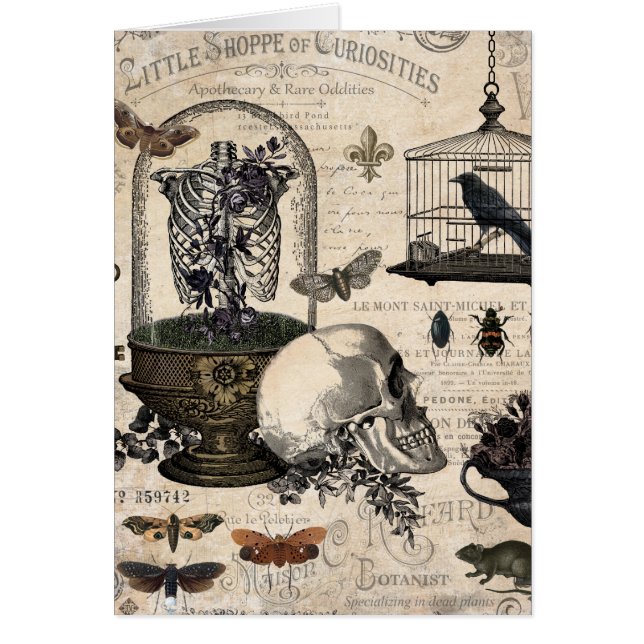 Jardín de Halloween Vintage Moderno (Frente)