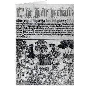 Jardín de hierbas medieval