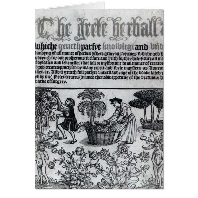 Jardín de hierbas medieval (Frente)