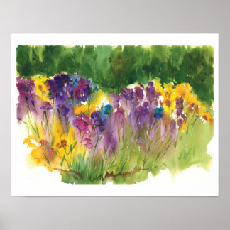 Jardín de Iris Impresión en Acuarela - 11 x 14