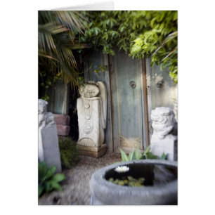 Jardín de la aclaración