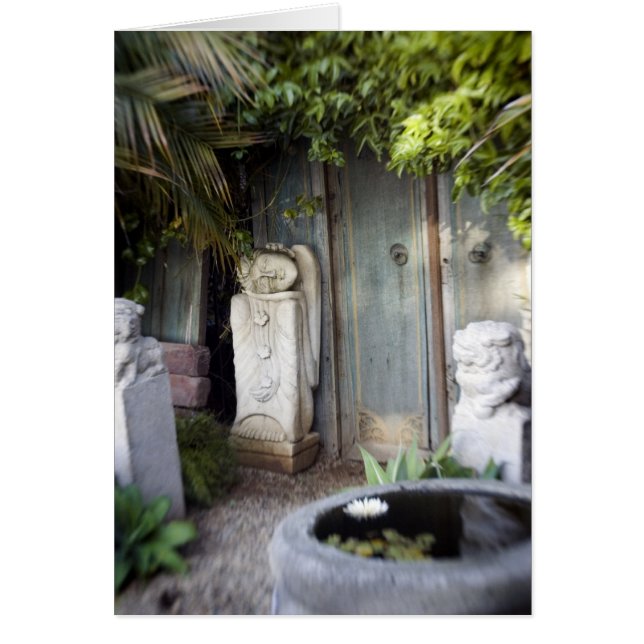 Jardín de la aclaración (Frente)