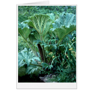 Jardín de la Isla del Noroeste