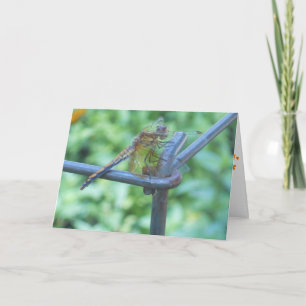 "Jardín de Libélulas" Tarjeta de Recuperación #2