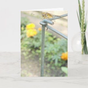 "Jardín de Libélulas" Tarjeta de Recuperación #3